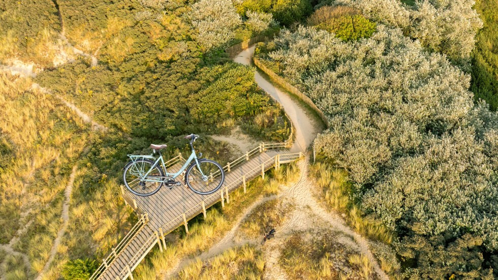 Klik op de afbeelding voor een grotere versie  Naam: Fiets-11-07.jpg Bekeken: 7 Maat: 322,3 KB ID: 10373